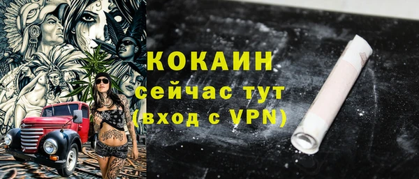 эйфоретик Арсеньев