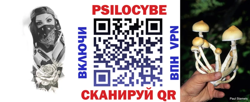 купить  цена  это телеграм  Псилоцибиновые грибы MAGIC MUSHROOMS  Ессентуки 